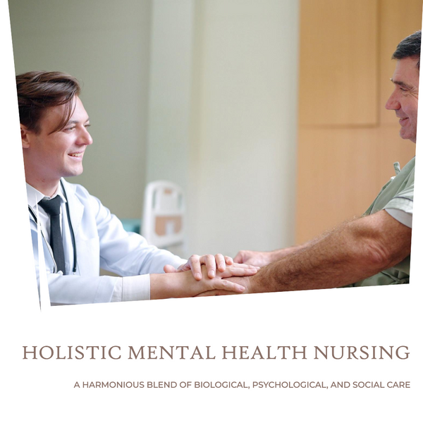 Mental Health: Nursing Care Essay Sample