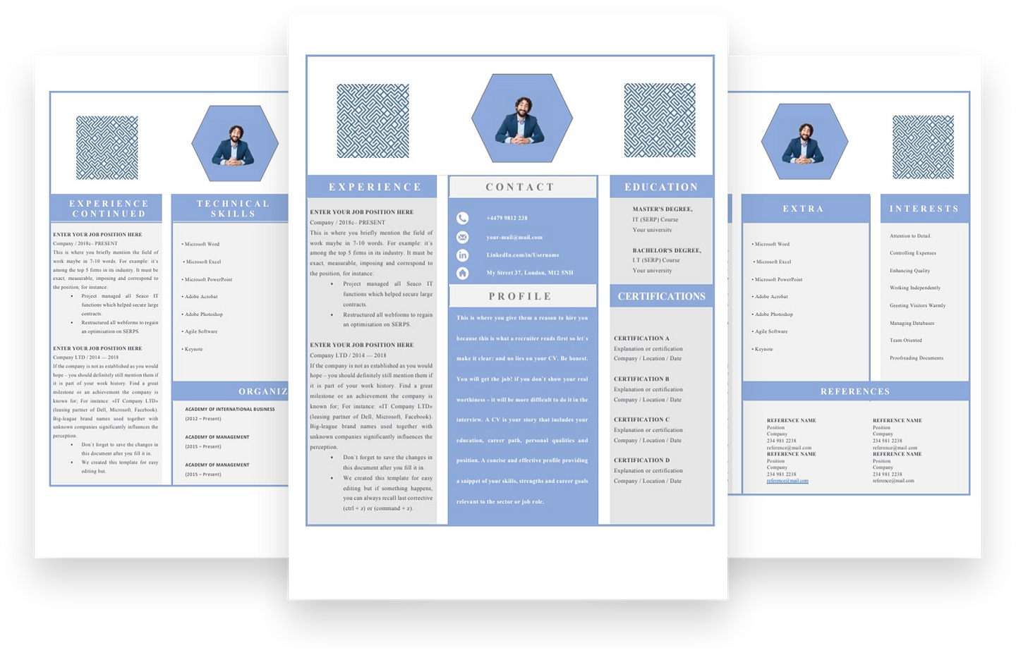 Assistant Accountant 3 Page CV Template