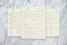 Load image into Gallery viewer, Basic CV Resume Templates - Grammarholic
