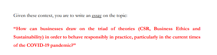 CSR and Sustainability Management Individual Essay Question