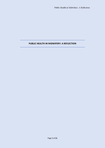 Reflection Essay Sample on Public Health in Midwifery