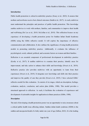 Reflection Essay Sample on Public Health in Midwifery
