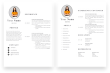 Load image into Gallery viewer, 2 Page Accountant CV
