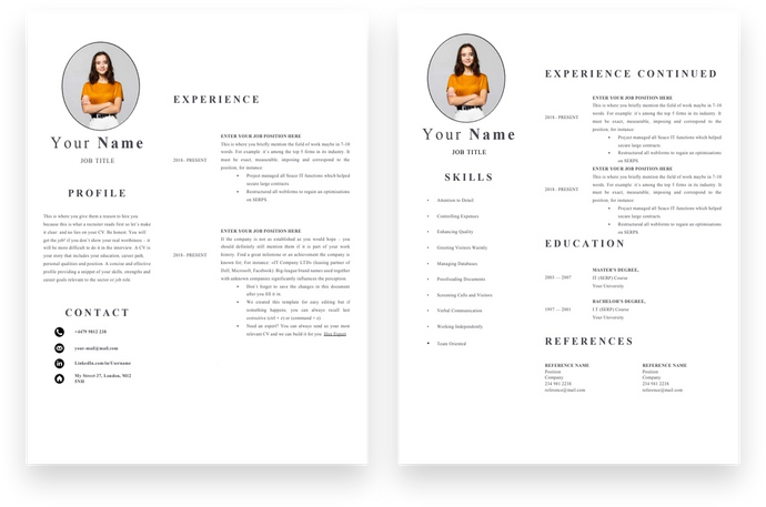 2 Page Accountant CV