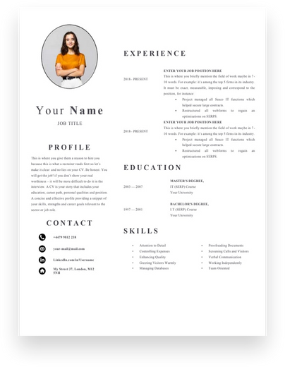 1 Page Accountant CV