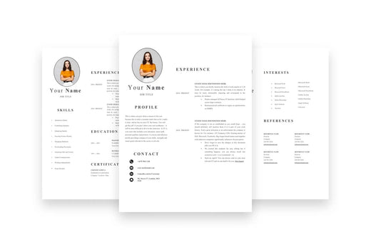 1-3 Page Accountant CV