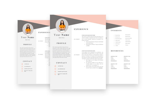 3 Page Accountant CV