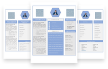 Load image into Gallery viewer, Assistant Accountant 3 Page CV Template
