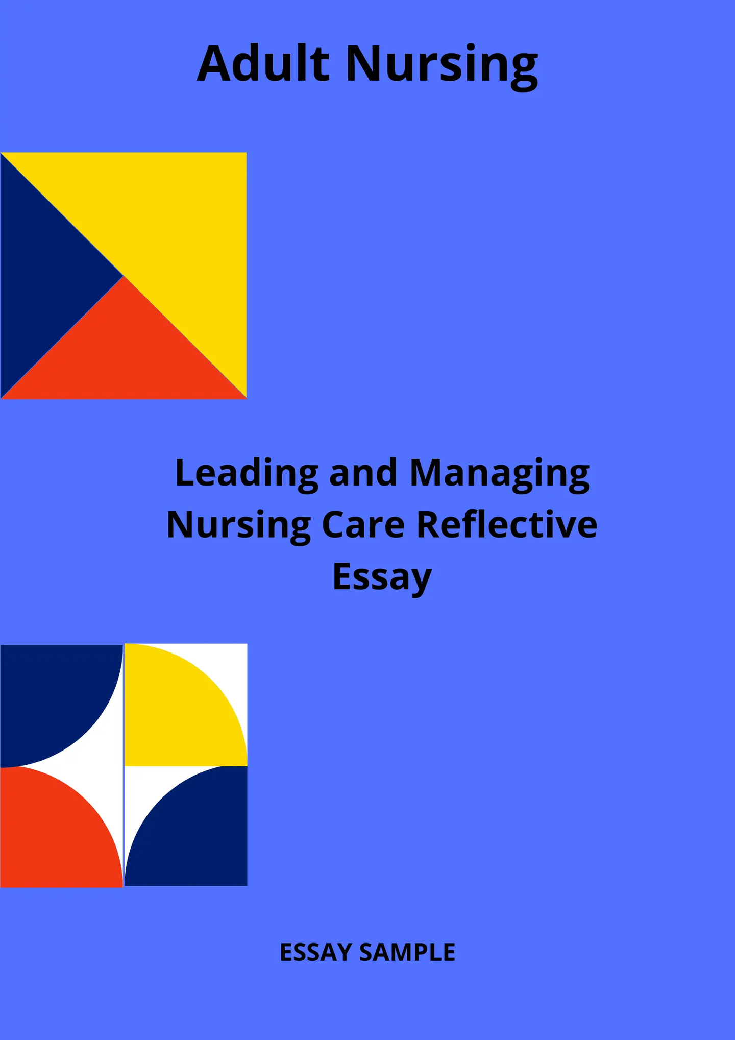 Leading and Managing Nursing Care Reflective Essay Sample for Adult Nursing