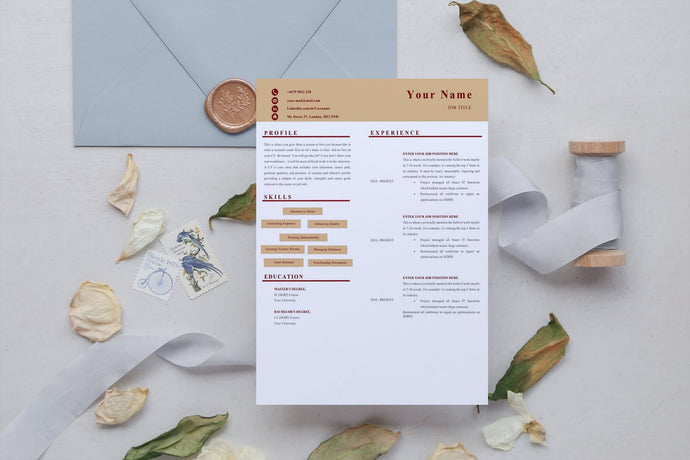 Front End Developer Resumes, CV Templates