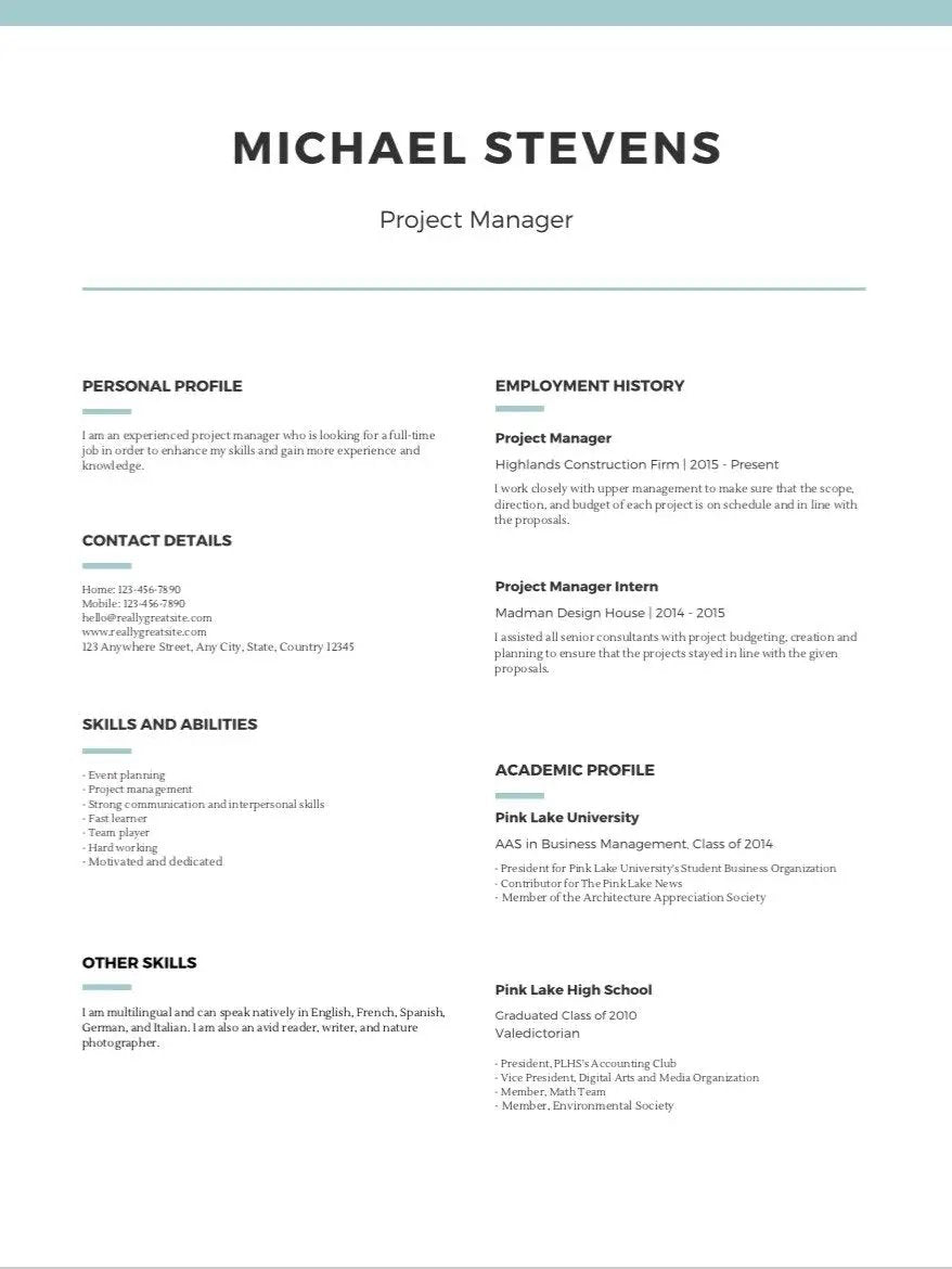 Project Management CV - Grammarholic