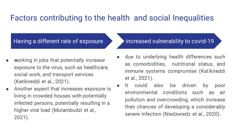 Factors contributing to the health  and social Inequalities