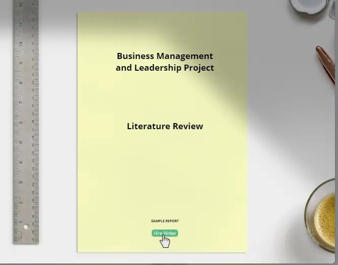 literature review business management