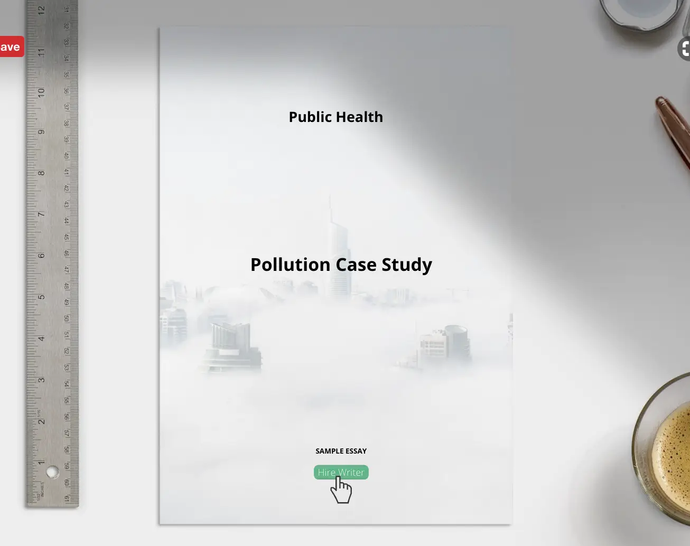 Public Health Pollution Case Study - Grammarholic