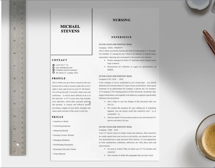 Adams Professional CV Template - Grammarholic