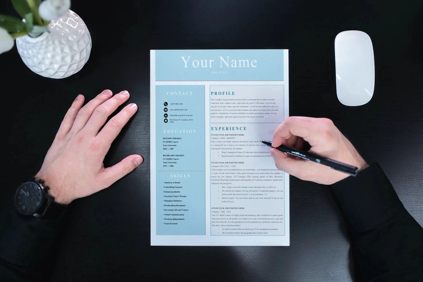 Professional CV Resume Templates - Grammarholic